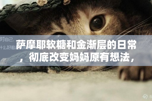 薩摩耶軟糖和金漸層的日常，徹底改變媽媽原有想法，媽媽：很欣慰