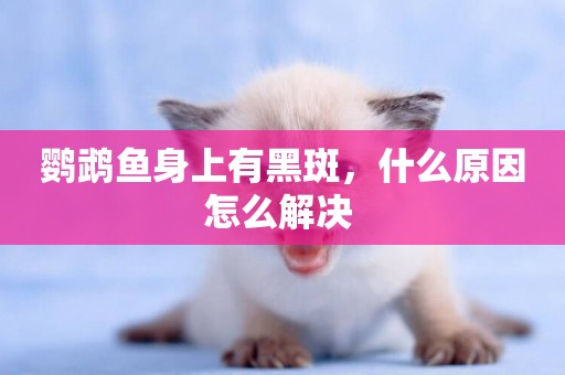 鸚鵡魚身上有黑斑，什么原因怎么解決 