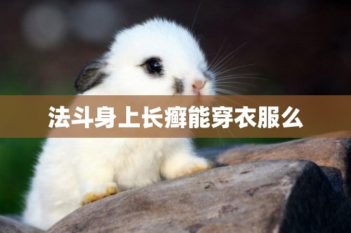 法斗身上長癬能穿衣服么