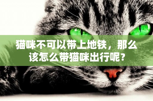 貓咪不可以帶上地鐵，那么該怎么帶貓咪出行呢？