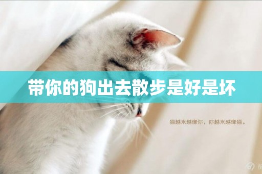 帶你的狗出去散步是好是壞