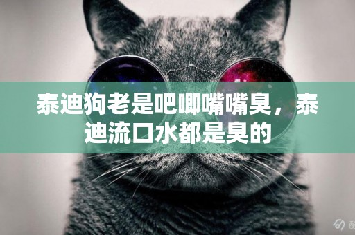 泰迪狗老是吧唧嘴嘴臭，泰迪流口水都是臭的