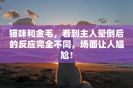 貓咪和金毛，看到主人暈倒后的反應完全不同，場面讓人尷尬！