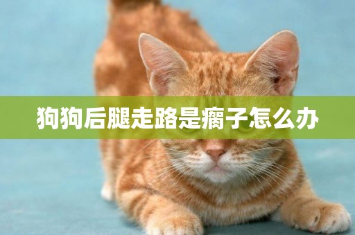狗狗后腿走路是瘸子怎么辦