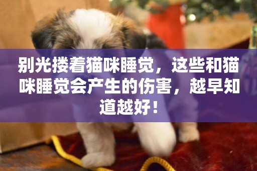 別光摟著貓咪睡覺，這些和貓咪睡覺會產生的傷害，越早知道越好！