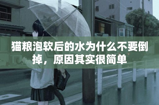 貓糧泡軟后的水為什么不要倒掉，原因其實很簡單