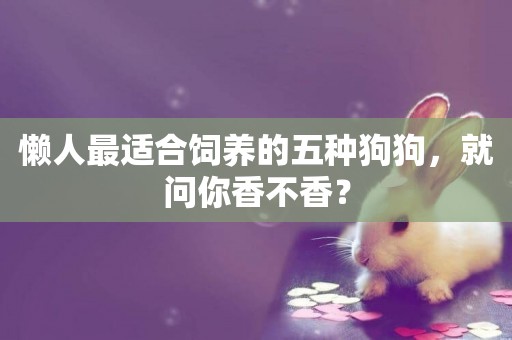 懶人最適合飼養的五種狗狗，就問你香不香？