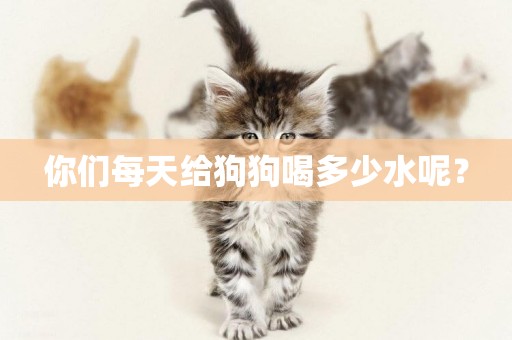 你們每天給狗狗喝多少水呢？