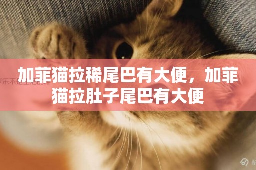 加菲貓拉稀尾巴有大便，加菲貓拉肚子尾巴有大便