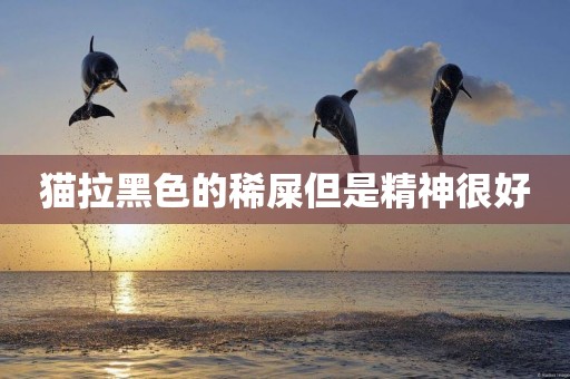 貓拉黑色的稀屎但是精神很好