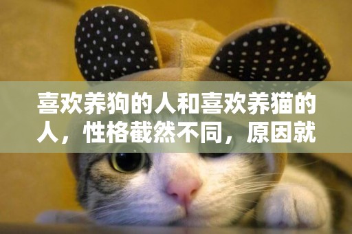 喜歡養狗的人和喜歡養貓的人，性格截然不同，原因就在寵物身上