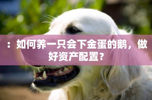 ：如何養一只會下金蛋的鵝，做好資產配置？