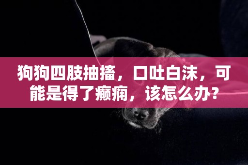 狗狗四肢抽搐，口吐白沫，可能是得了癲癇，該怎么辦？