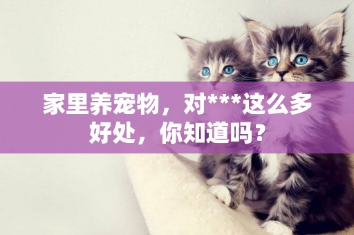 家里養寵物，對***這么多好處，你知道嗎？