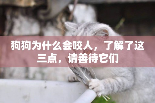 狗狗為什么會咬人，了解了這三點，請善待它們
