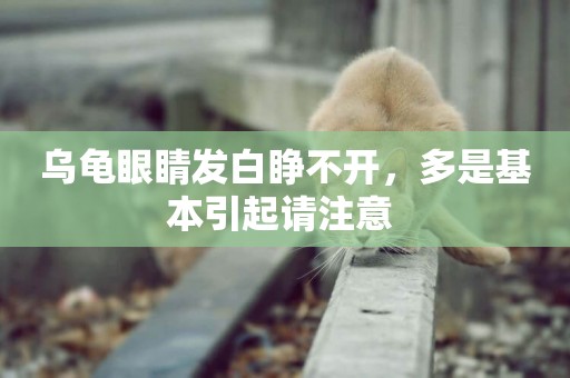 烏龜眼睛發白睜不開，多是基本引起請注意 
