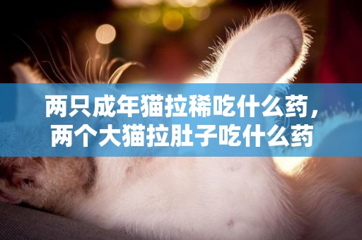 兩只成年貓拉稀吃什么藥，兩個大貓拉肚子吃什么藥