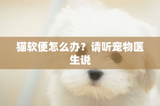 貓軟便怎么辦？請聽寵物醫生說