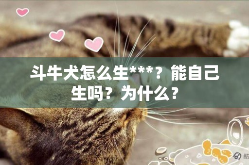 斗牛犬怎么生***？能自己生嗎？為什么？