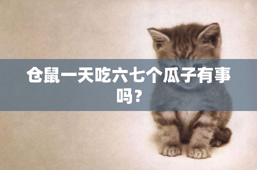 倉鼠一天吃六七個瓜子有事嗎？