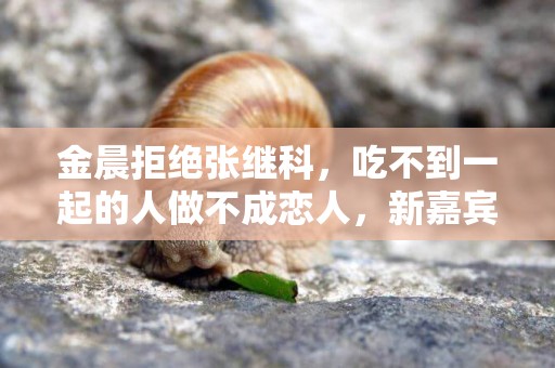 金晨拒絕張繼科，吃不到一起的人做不成戀人，新嘉賓讓她更心動！