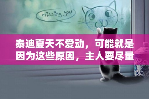 泰迪夏天不愛動，可能就是因為這些原因，主人要盡量避免