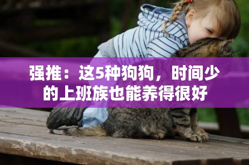 強推：這5種狗狗，時間少的上班族也能養得很好
