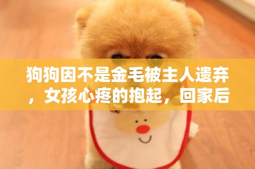 狗狗因不是金毛被主人遺棄，女孩心疼的抱起，回家后被整的沒脾氣