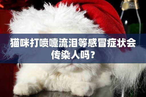 貓咪打噴嚏流淚等感冒癥狀會傳染人嗎？