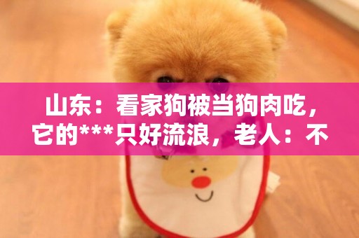山東：看家狗被當狗肉吃，它的***只好流浪，老人：不愛也別傷害