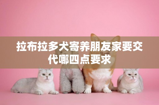 拉布拉多犬寄養朋友家要交代哪四點要求
