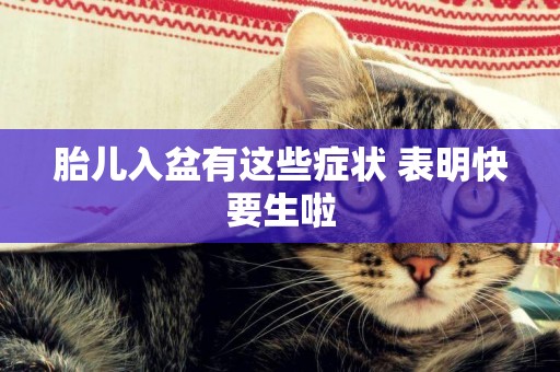 胎兒入盆有這些癥狀 表明快要生啦