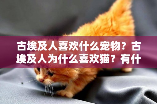 古埃及人喜歡什么寵物？古埃及人為什么喜歡貓？有什么特殊含義？