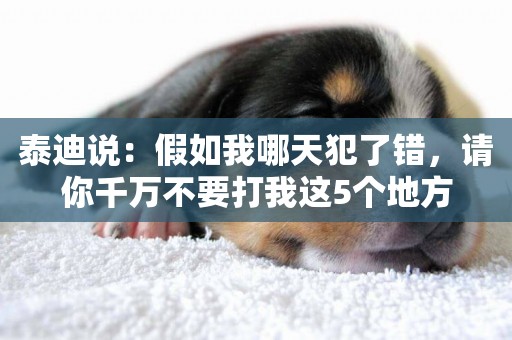 泰迪說：假如我哪天犯了錯，請你千萬不要打我這5個地方