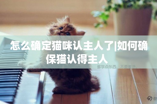 怎么確定貓咪認主人了|如何確保貓認得主人 