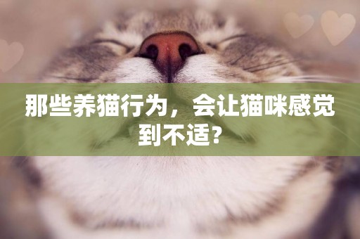 那些養貓行為，會讓貓咪感覺到不適？