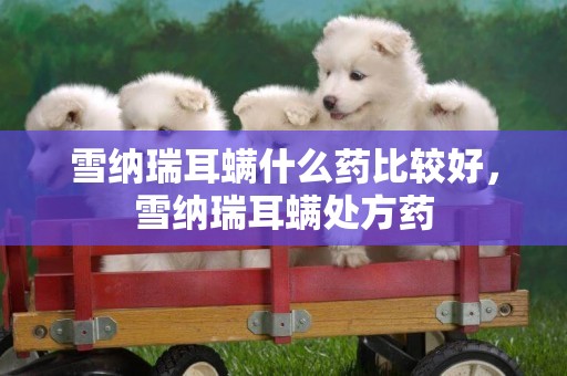 雪納瑞耳螨什么藥比較好，雪納瑞耳螨處方藥