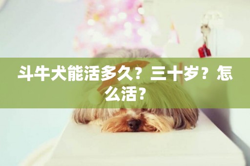 斗牛犬能活多久？三十歲？怎么活？