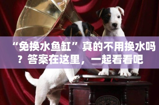 “免換水魚缸”真的不用換水嗎？答案在這里，一起看看吧