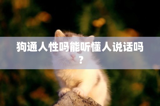 狗通人性嗎能聽懂人說話嗎？