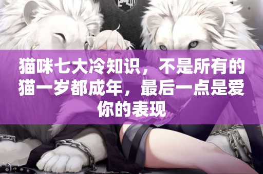 貓咪七大冷知識，不是所有的貓一歲都成年，最后一點是愛你的表現