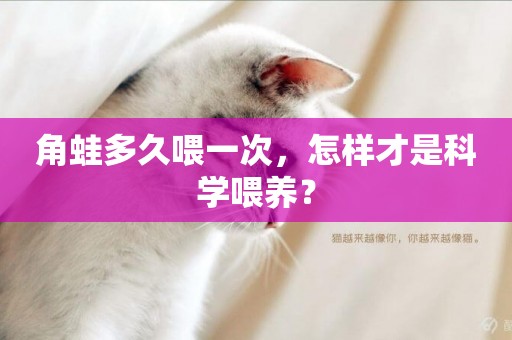 角蛙多久喂一次，怎樣才是科學喂養？