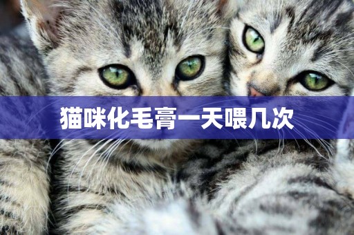 貓咪化毛膏一天喂幾次