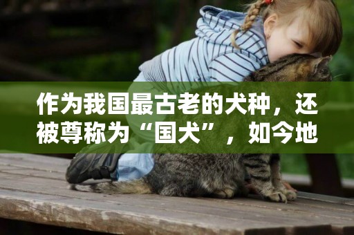 作為我國最古老的犬種，還被尊稱為“國犬”，如今地位卻岌岌可危