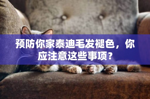預防你家泰迪毛發褪色，你應注意這些事項？