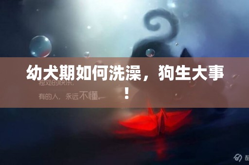 幼犬期如何洗澡，狗生大事！