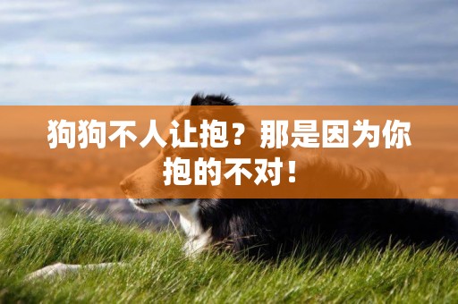 狗狗不人讓抱？那是因為你抱的不對！