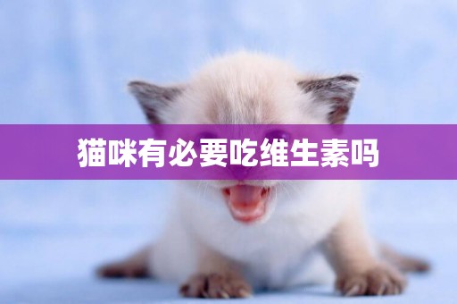 貓咪有必要吃維生素嗎
