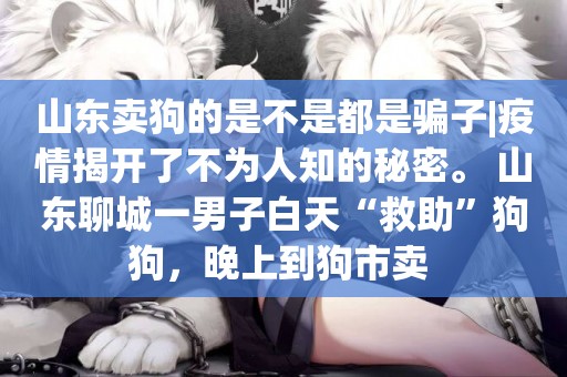 山東賣狗的是不是都是騙子|疫情揭開了不為人知的秘密。 山東聊城一男子白天“救助”狗狗，晚上到狗市賣 
