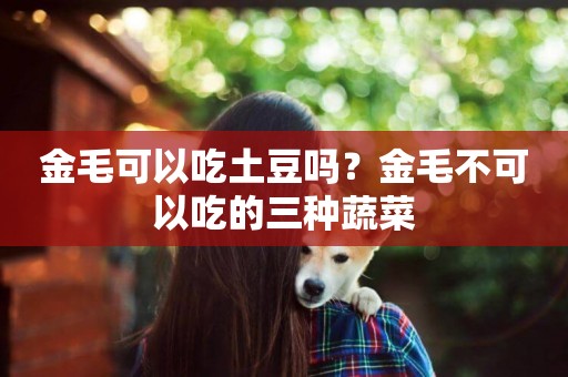 金毛可以吃土豆嗎？金毛不可以吃的三種蔬菜